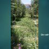 Diapo_42